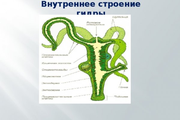 Покупки на кракене даркнет