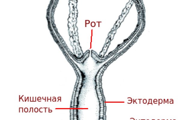 Кракен настоящее зеркало