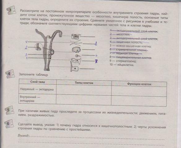 Кракен сайт зеркало рабочее